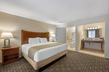 Standard Room, 1 King Bed, Accessible, Non Smoking