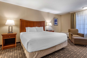 Standard Room, 1 King Bed, Non Smoking, Refrigerator & Microwave