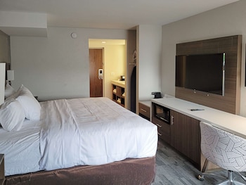 Room, 1 Queen Bed with Sofa bed, Accessible, Non Smoking (Mobility Accessible with Tub)