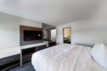 Room, 1 Queen Bed, Accessible, Non Smoking (Mobility Accessible w/ Roll in Shower)