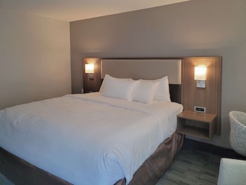 Suite, 1 King Bed with Sofa bed, Non Smoking