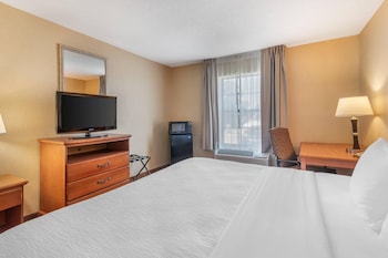 Standard Room, 1 King Bed, Non Smoking