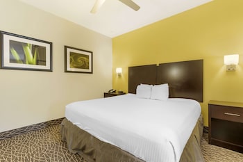 Suite, 1 King Bed, Non Smoking, Refrigerator (with Sofabed)