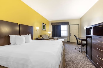 Standard Room, 1 King Bed, Non Smoking, Refrigerator (with Sofabed)