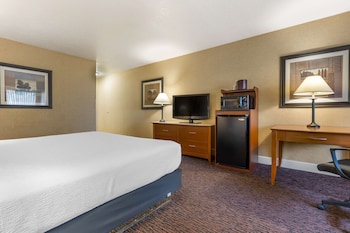 Business Room, 1 King Bed, Non Smoking, Refrigerator & Microwave