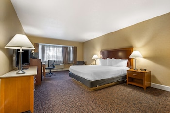 Business Room, 1 King Bed, Non Smoking, Refrigerator & Microwave
