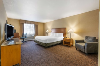 Standard Room, 1 King Bed, Non Smoking, Refrigerator & Microwave