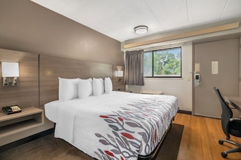Standard Room, 1 King Bed (Smoke Free)