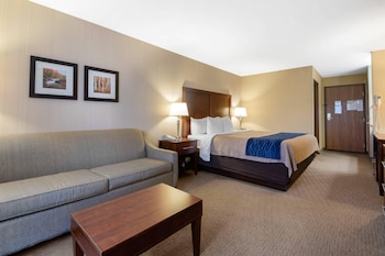 Standard Room, 1 King Bed with Sofa bed, Non Smoking