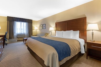 Standard Room, 1 King Bed with Sofa bed, Non Smoking