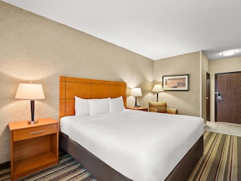 Standard Room, 1 King Bed, Non Smoking