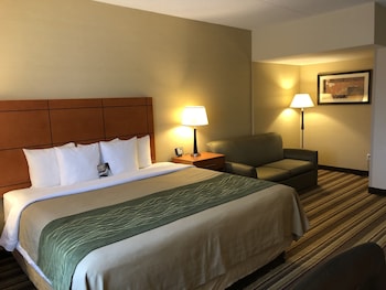 Deluxe Room, 1 King Bed with Sofa bed, Non Smoking (2 Person Sofa bed, Shower only)