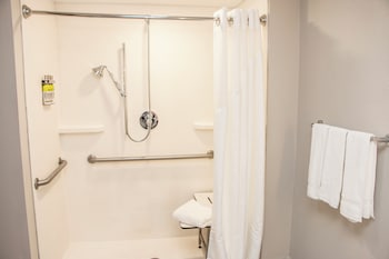 Standard Room, 1 King Bed, Accessible (Mobility, Roll-In Shower)
