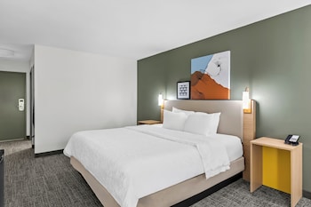 Room, 1 King Bed