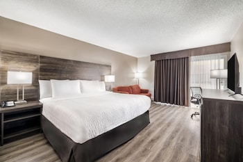 Standard Room, 1 King Bed, Non Smoking