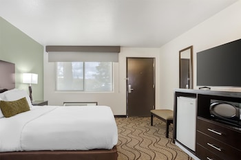 Standard Room, 1 Queen Bed, Accessible, Non Smoking (Walk-in Shower)