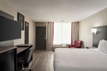 Room, 1 King Bed, Non Smoking, Ground Floor