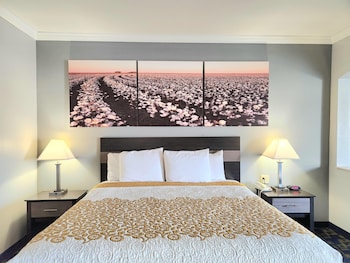 Standard Room, 1 King Bed