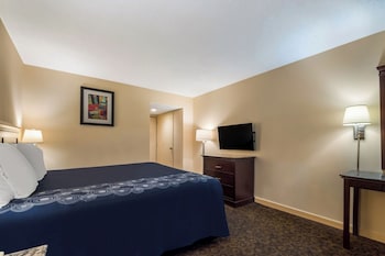 Room, 1 King Bed