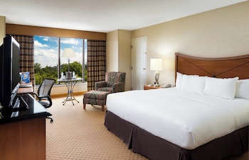 Room, 1 King Bed, Accessible (Roll-In Shower)