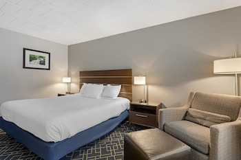 Standard Room, 1 King Bed, Non Smoking, Refrigerator & Microwave