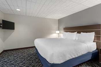 Suite, 1 King Bed, Non Smoking, Refrigerator & Microwave (with Sofabed)