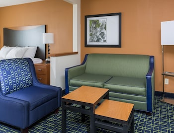 Studio Suite, 1 King Bed with Sofa bed