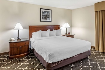 Room, 1 King Bed, Non Smoking, Jetted Tub