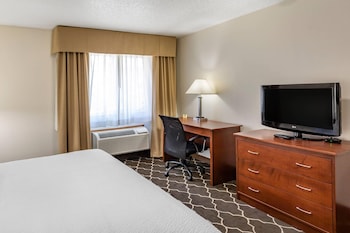 Suite, 1 King Bed with Sofa bed, Non Smoking