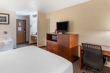 Room, 1 King Bed, Non Smoking, Jetted Tub