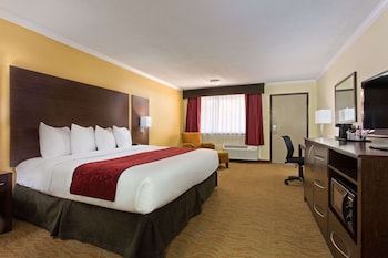 Executive Room, 1 King Bed, Non Smoking