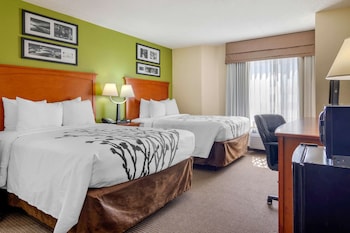 Room, 2 Double Beds, Non Smoking (Pet Friendly)