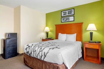 Standard Room, 1 Queen Bed, Non Smoking