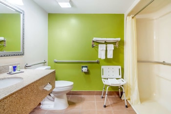 Room, 1 Queen Bed, Accessible, Non Smoking (Pet Friendly)