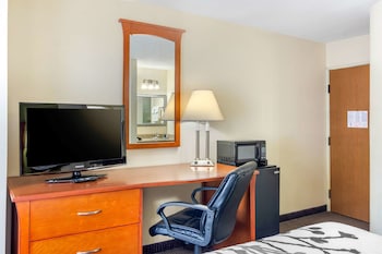 Standard Double Room, 2 Double Beds, Non Smoking