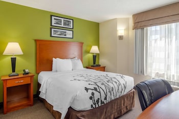 Room, 1 Queen Bed, Accessible, Non Smoking (Pet Friendly)