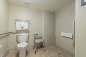 Room, 1 King Bed, Accessible, Non Smoking (Roll-In Shower)