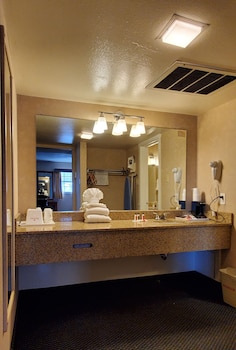 Studio Suite, Multiple Beds, Non Smoking