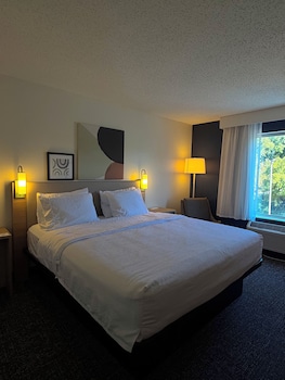 Room, 1 King Bed