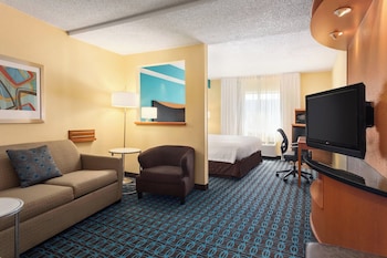Studio Suite, 1 King Bed with Sofa bed