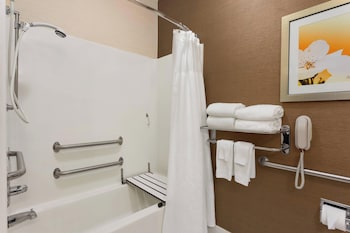 Studio Suite, 1 King Bed with Sofa bed