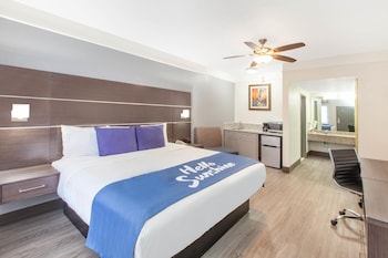Room, 1 King Bed, Smoking