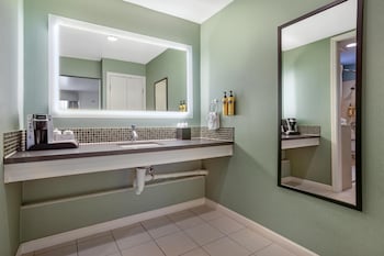 Standard Room, 1 King Bed, Accessible, Refrigerator & Microwave