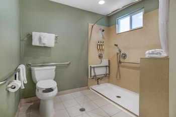 Standard Room, 1 King Bed, Accessible, Refrigerator & Microwave