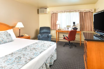 Suite, 1 King Bed
