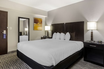 Standard Room, 1 King Bed, Accessible, Non Smoking