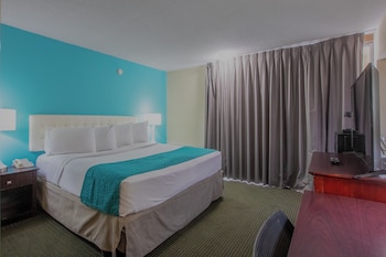 Comfort Single Room