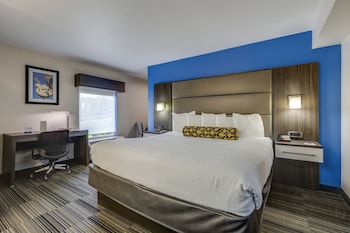 Deluxe Room, 1 King Bed
