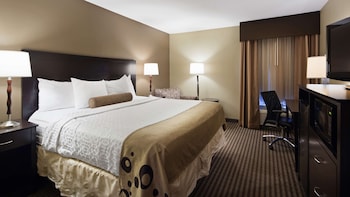 Standard Room, 1 King Bed, Non Smoking, Refrigerator & Microwave