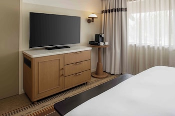 Deluxe Suite, 1 Queen Bed with Sofa bed, Accessible (Grab Bar)